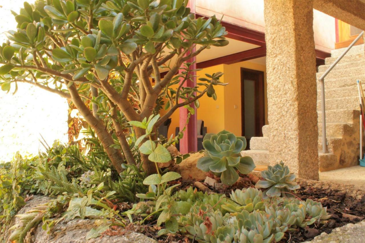 Villa Casa de José à Cabeceiras de Basto Extérieur photo